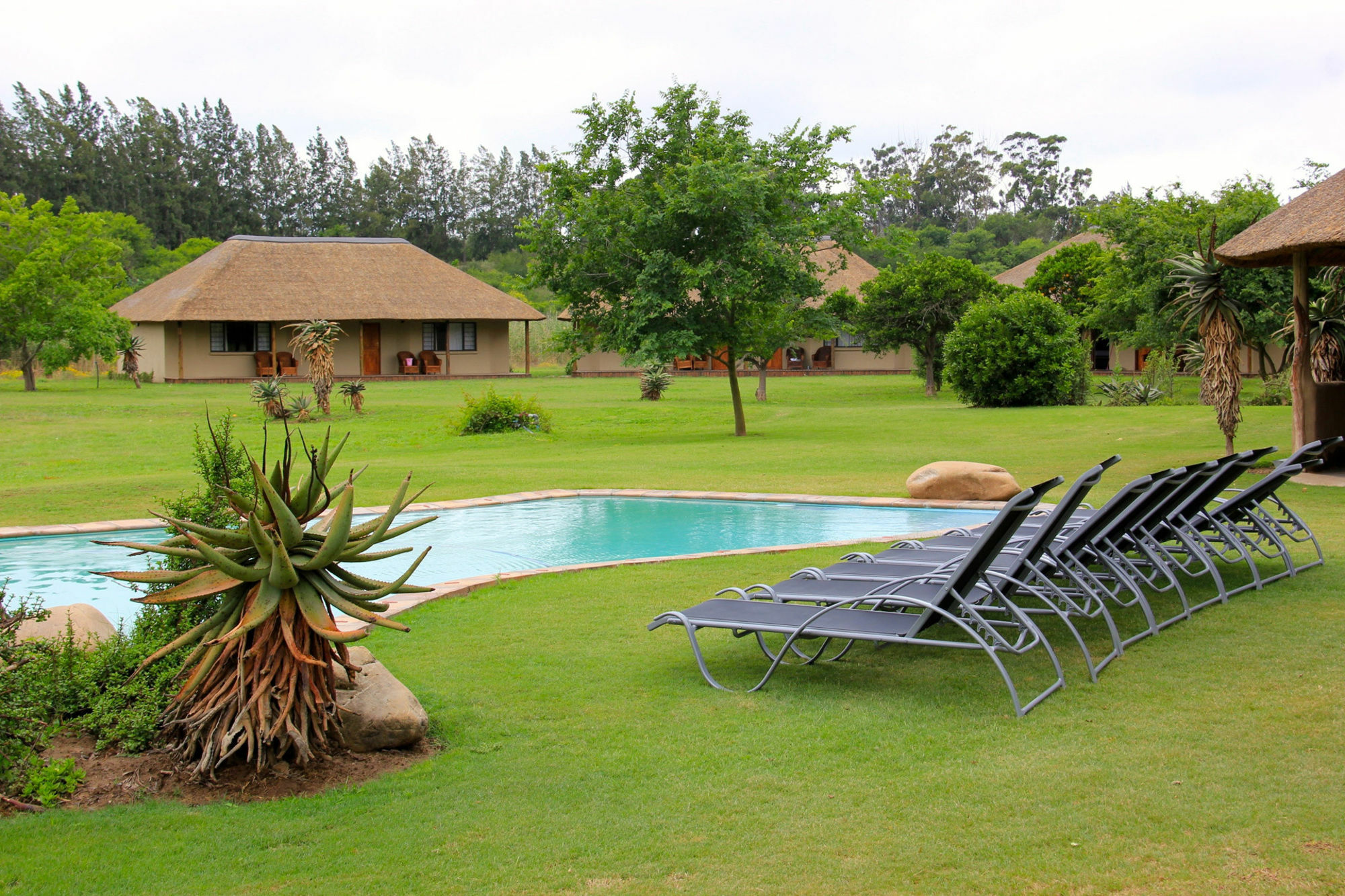 Chrislin African Lodge Addo Kültér fotó
